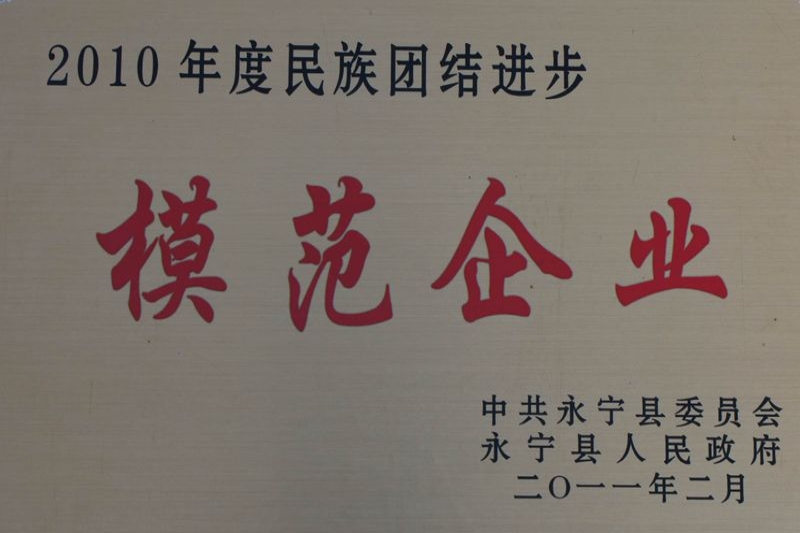2010模范企业