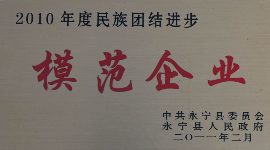 2010模范企业