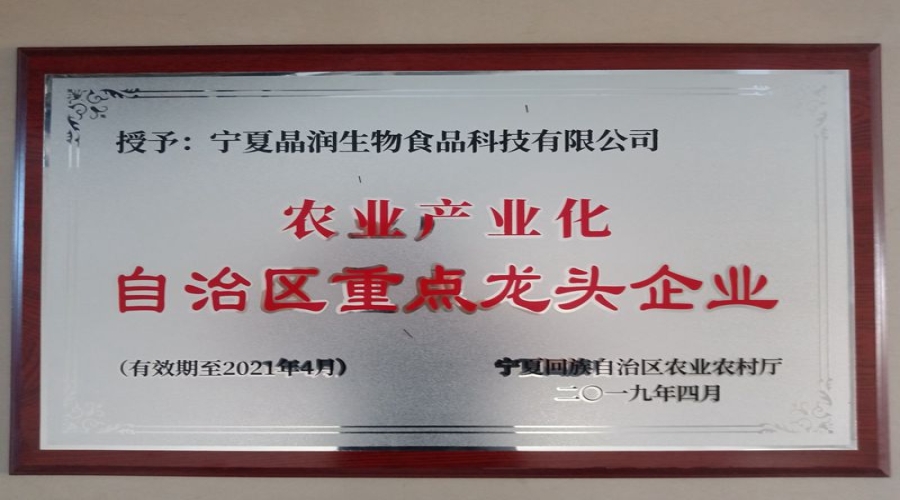 2019年重点龙头企业