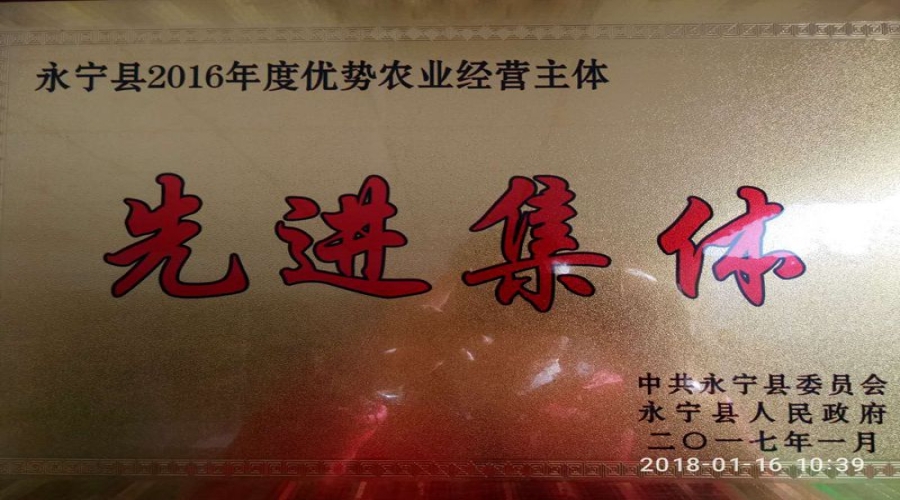 2017年1月先进集体